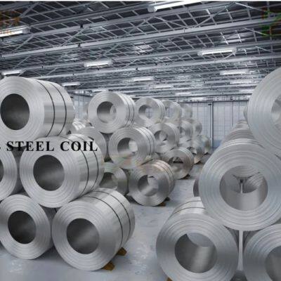 Golden Supplier Precise Stainless Steel Coils/strips/plates 304 316 310S Cold Rolled Ultra Thin