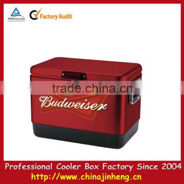 Plastic cooler liner