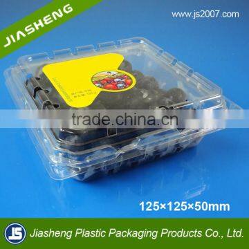 Dongguan Manufacturer Custom Clear Plastic Clamshell Packaging Trays for Blueberry