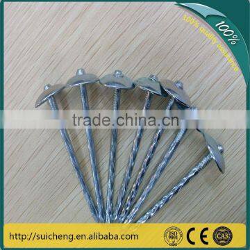 Guangzhou Roofing Nails/ Common Iron Wire Nails/ Low Carbon Steel Iron Nails