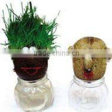 Grass head,Grass toy,Growing grass head