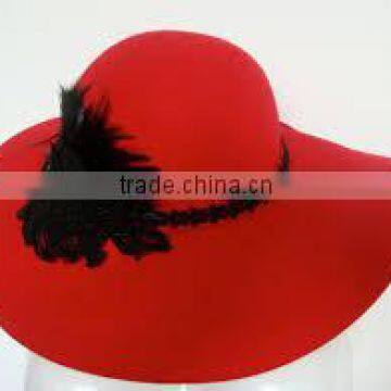 Fashion ladies hat