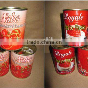 ISO Certified Canned Tomato Paste Factory photo-6