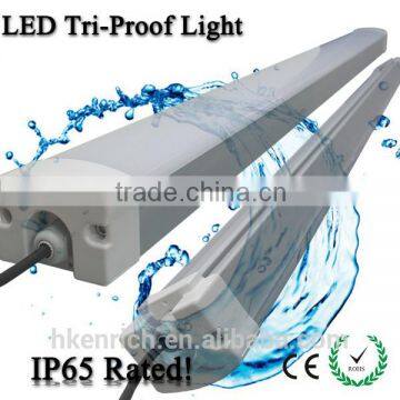 1.5m 5ft 50W IP65 led tri-proof light with 5 years warranty