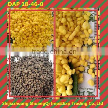 The best DAP Diammonium Phosphate factory from China