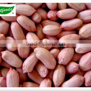 24/28 Peanut kernels(long type)