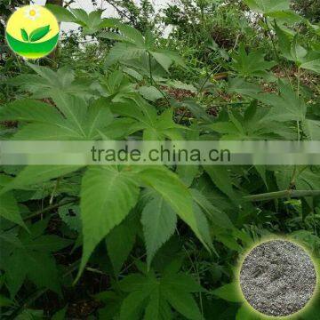 OEM Service Wild Rubusoside Sweet Tea Extract Sweet Tea Leaf Natural Sweetener OEM Service photo-3