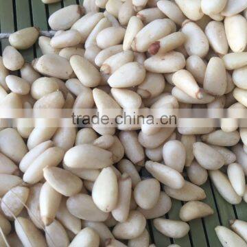 New crop Chinese Pinenut Kernels