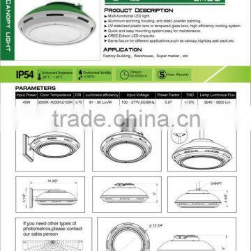 Holly Lite Newly Designed Led Pendant Light With DLC