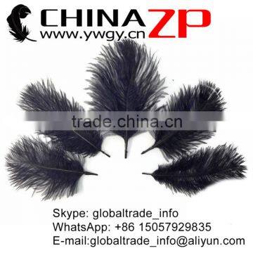 ZPDECOR No.1 Supplier in China Size From 6''-8'' Factory Exporting Wholesale Fashion Dyed Black Ostrich Feathers Plume