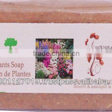 Plants soap