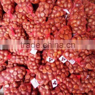 CHINESE CHESTNUTS/ COMMON CHESTNUTS