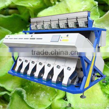 High output 448 Channels CE certificated Dry Dried Vegetables CCD Color Separating machine