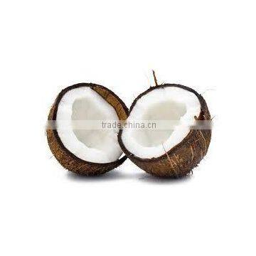 Husked Coconuts From Tamilnadu photo-4