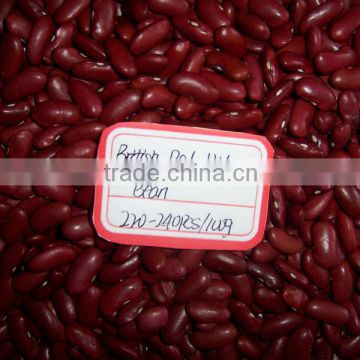 2014 crop of Chinese red kidney bean British Type Japnese Type