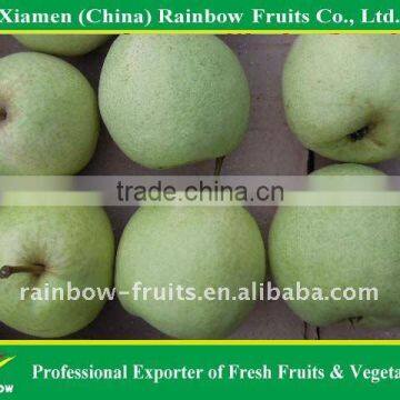 Dangshan pear