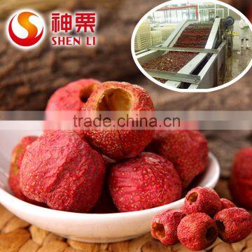 Freeze Dried Fruit Powder,Freeze Dried Hawthorn Berry Powder photo-3