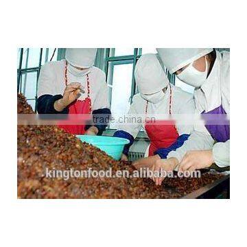 Taste Sweet and Seedless Dried Red Raisin photo-2