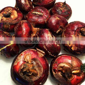 fresh vegetable in tin water chestnut