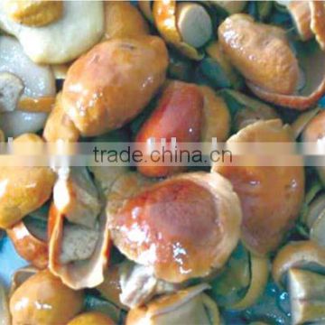 boletus in brine