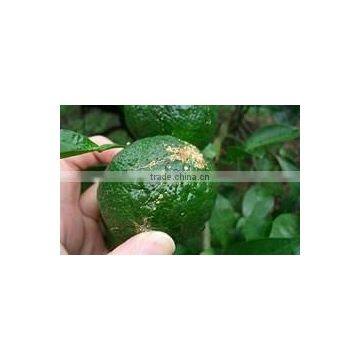 Hot-selling and Famous Japanese Herbs and Spices Pepper Yuzu , Sample Available photo-6
