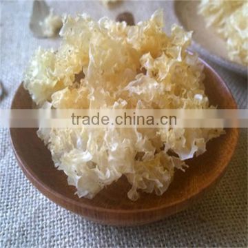 High Quality Dried Organic Tremella Fuciformis / Silver Ear mushroom / White Fungus