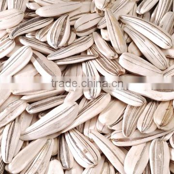 Sunflower seeds