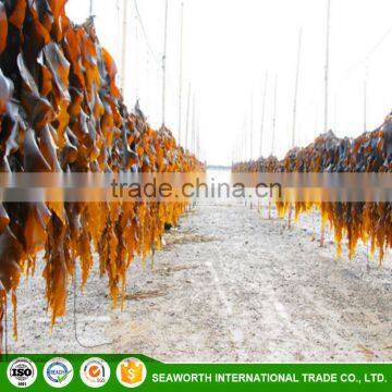 Best Sell Organic Sargassum Seaweed Fertilizer for Potato With Competitive Price photo-6