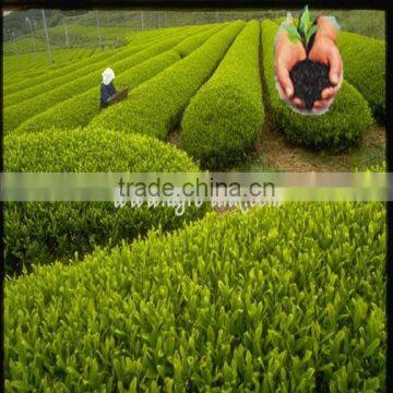 90%min Water Soluble Humic Acid photo-5