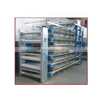 Automatic poultry equipment for layer quail raising