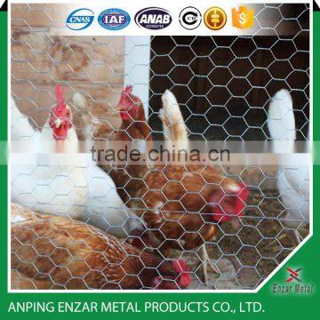 Chicken Coop Hexagonal Wire Mesh