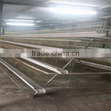 Gold Supplier Chicken Cage/chicken Farm/chicken Cage for Sale for All World photo-3