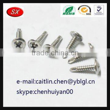 China Hardware Factory Custom Anode Steel Screw photo-3