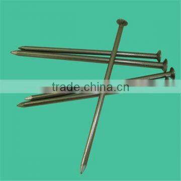 2015 Hot Sale Building Common Wire Nail, Construction Common Nail Iron Nail Factory photo-3