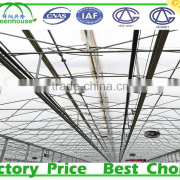 PC Sheet Cover Material and Multi-Span Commercial Greenhouses for Agriculture for Sale