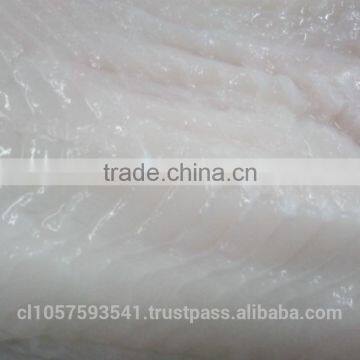 Patagonian Toothfish or Real Chilean Seabass photo-3