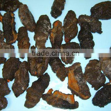 Dried Sea Cucumber photo-4