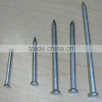 Galvanized Concrete Nails With Factory Price photo-2