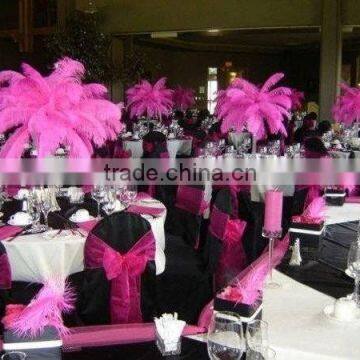 Fushia ostrich wing plumes feathers for carnival decoration