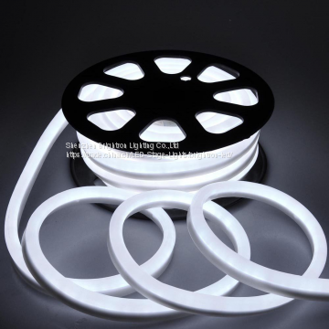 Polychrome CE approved Wire Rope Cable Strip water resistant led neon 5050 RGB DMX led ultra thin neon