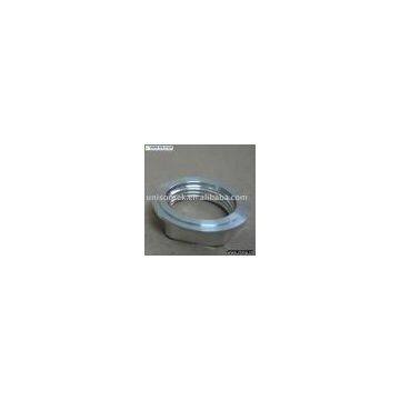 Hexagon Flange Nut
