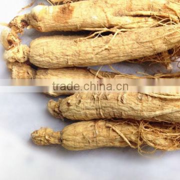 Good quality, White ginseng, jilin ginseng