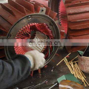 YZR Type 315 M-10 High Efficiency Electric Motor for High Reliability photo-3