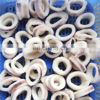 frozen illex black squid ring squid rings wholesale