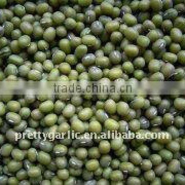 green mung beans crop 2011