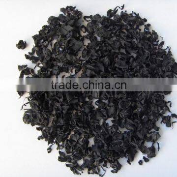 Dried Wakame Undaria Pinnatifida in Bulk for Japanese Food