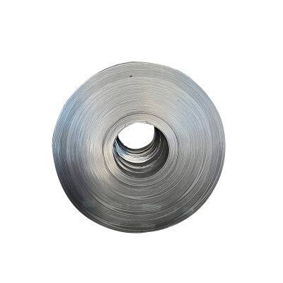 0.12~6.0mm or Customer's Requirement Hot Cold Rolled Carbon Steel Coil photo-4