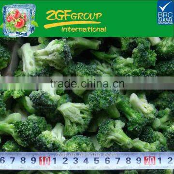 supply new crop frozen chinese broccoli