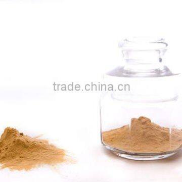 HALAL Instant Dissolve Soy Sauce Powder Used in Seasoning Sachet