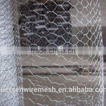 Hot sales Galvanized Hexagonal Wire Mesh 21 gauge manufacturer